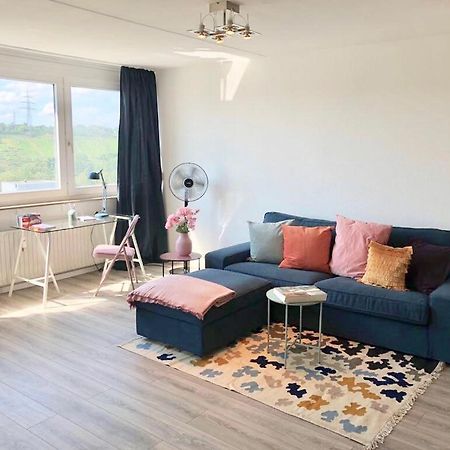 Grosses Appartement Mit Aussichtsbalkon لودفيغسبرغ المظهر الخارجي الصورة