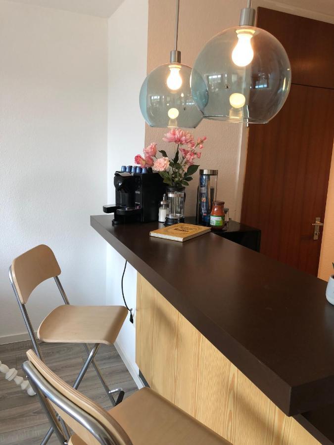 Grosses Appartement Mit Aussichtsbalkon لودفيغسبرغ المظهر الخارجي الصورة